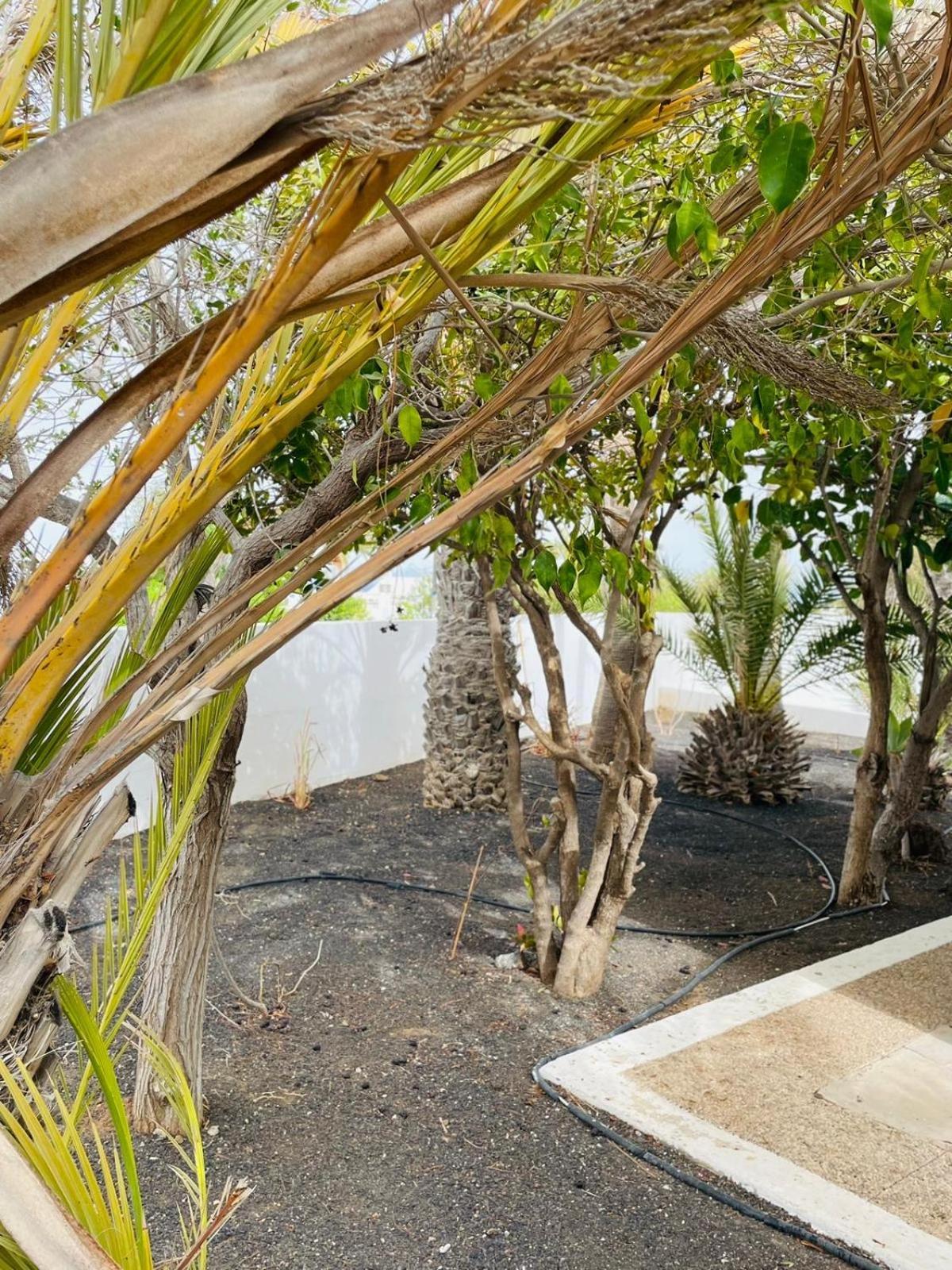 Villa Rosa Puerto del Carmen  Bagian luar foto